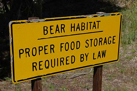 bear habitat